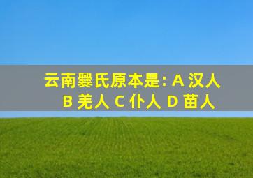 云南爨氏原本是: A 汉人 B 羌人 C 仆人 D 苗人